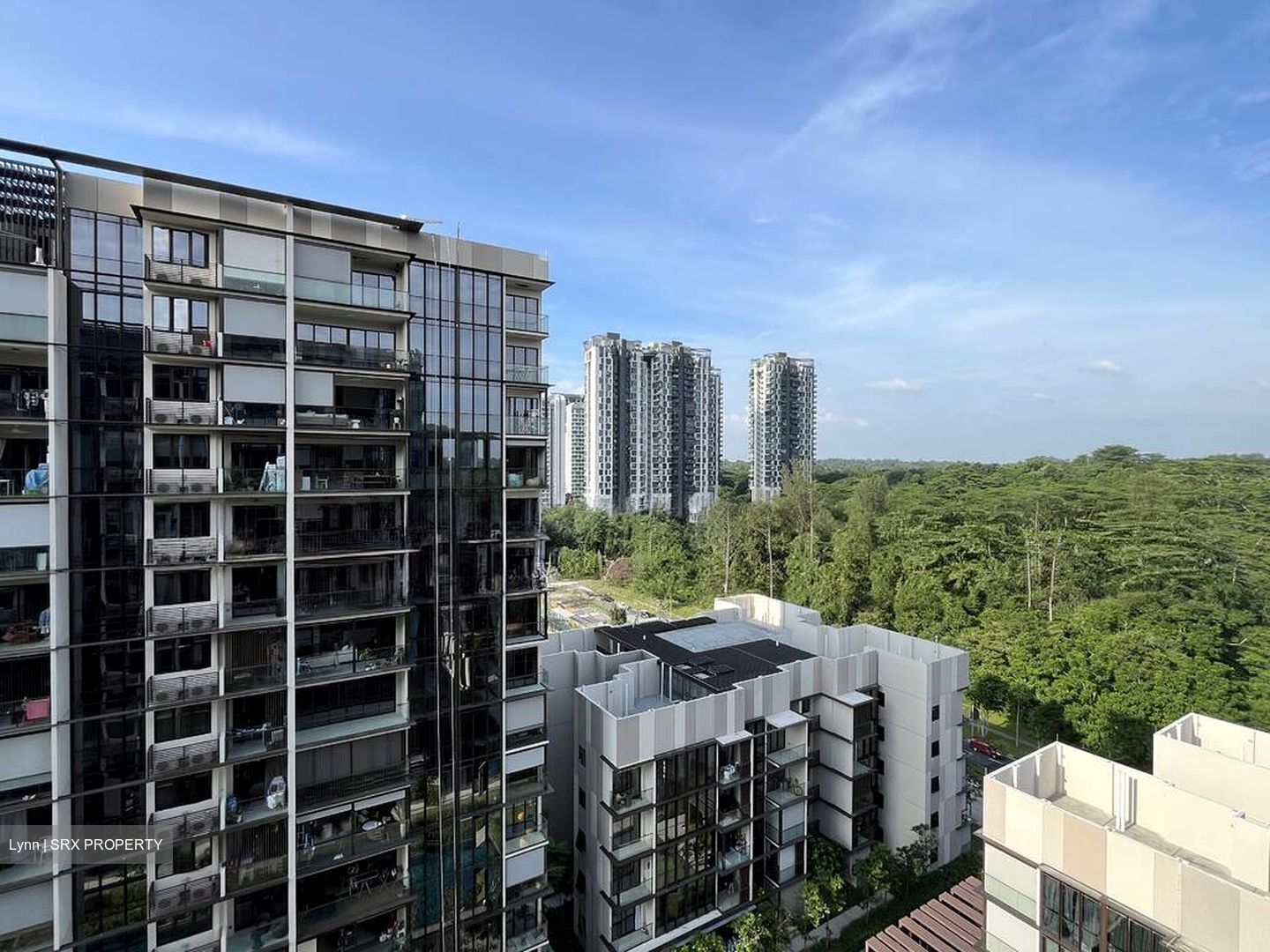 Dairy Farm Residences (D23), Apartment #519003751